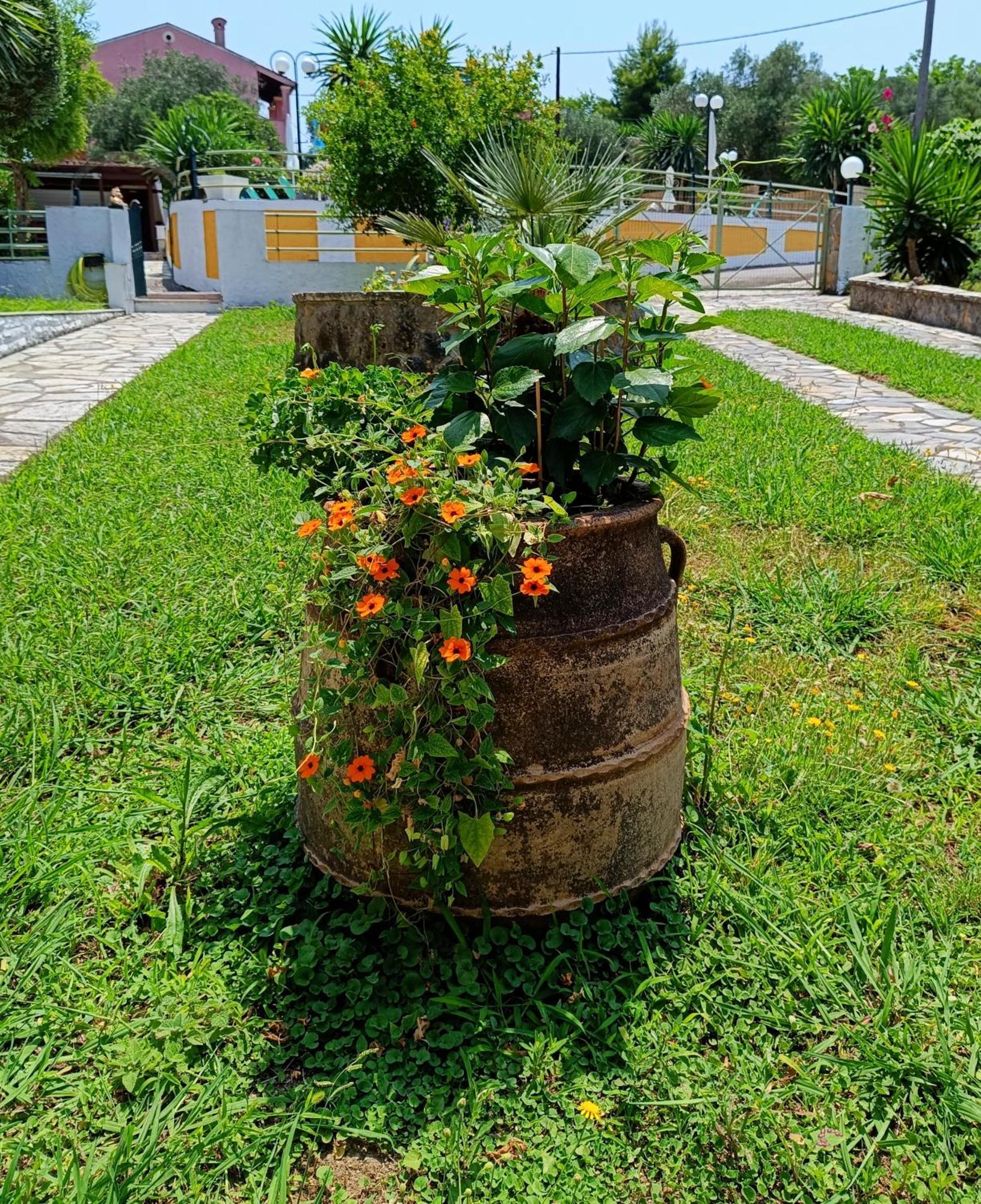 Villa Marinos Kato Korakiana المظهر الخارجي الصورة